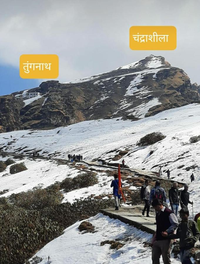 Pandava'S Cafe & Stay Chopta Zewnętrze zdjęcie